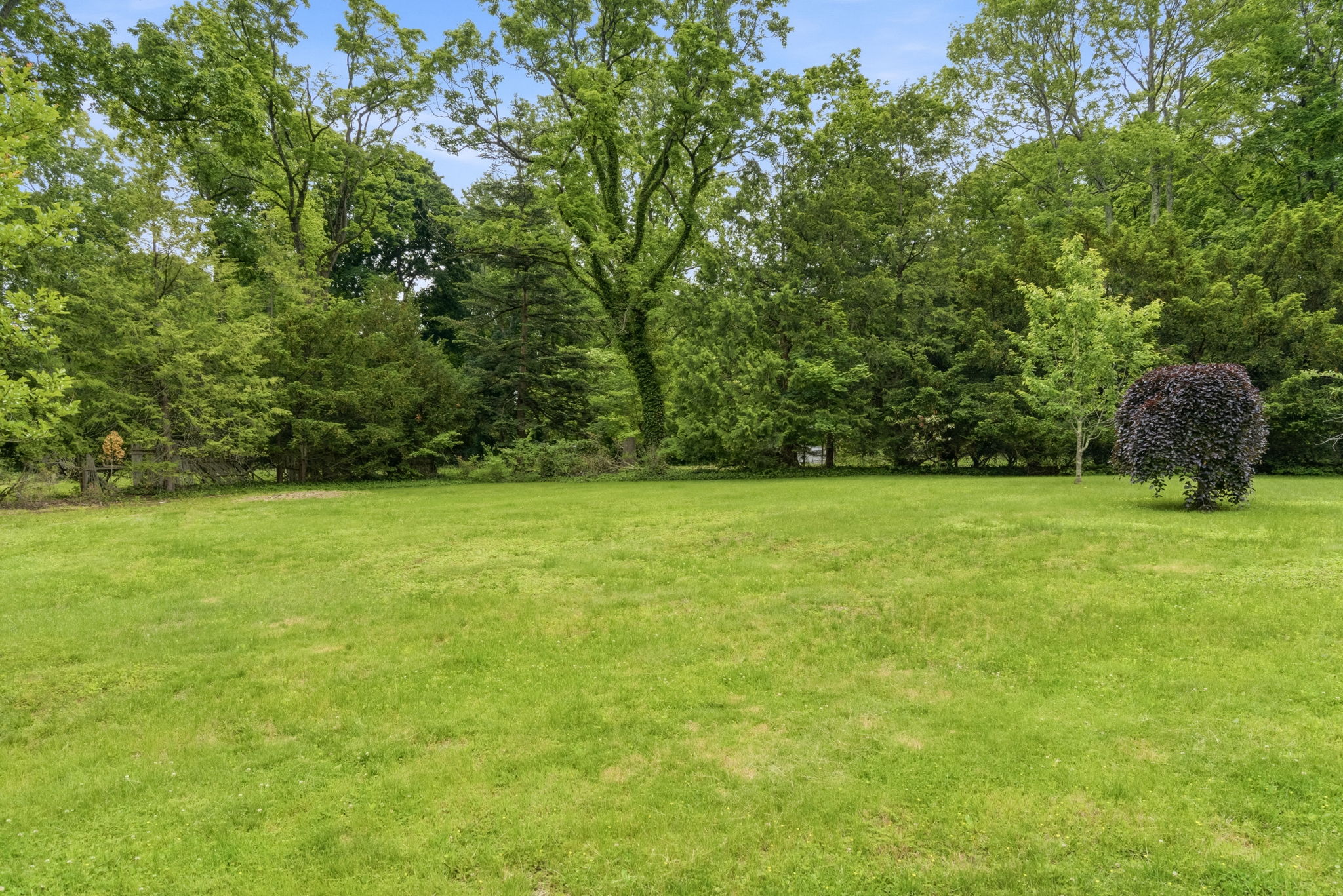 47-web-or-mls-DMS-7131